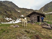 65 Ciao Shira e suo padronr...alla prossima!